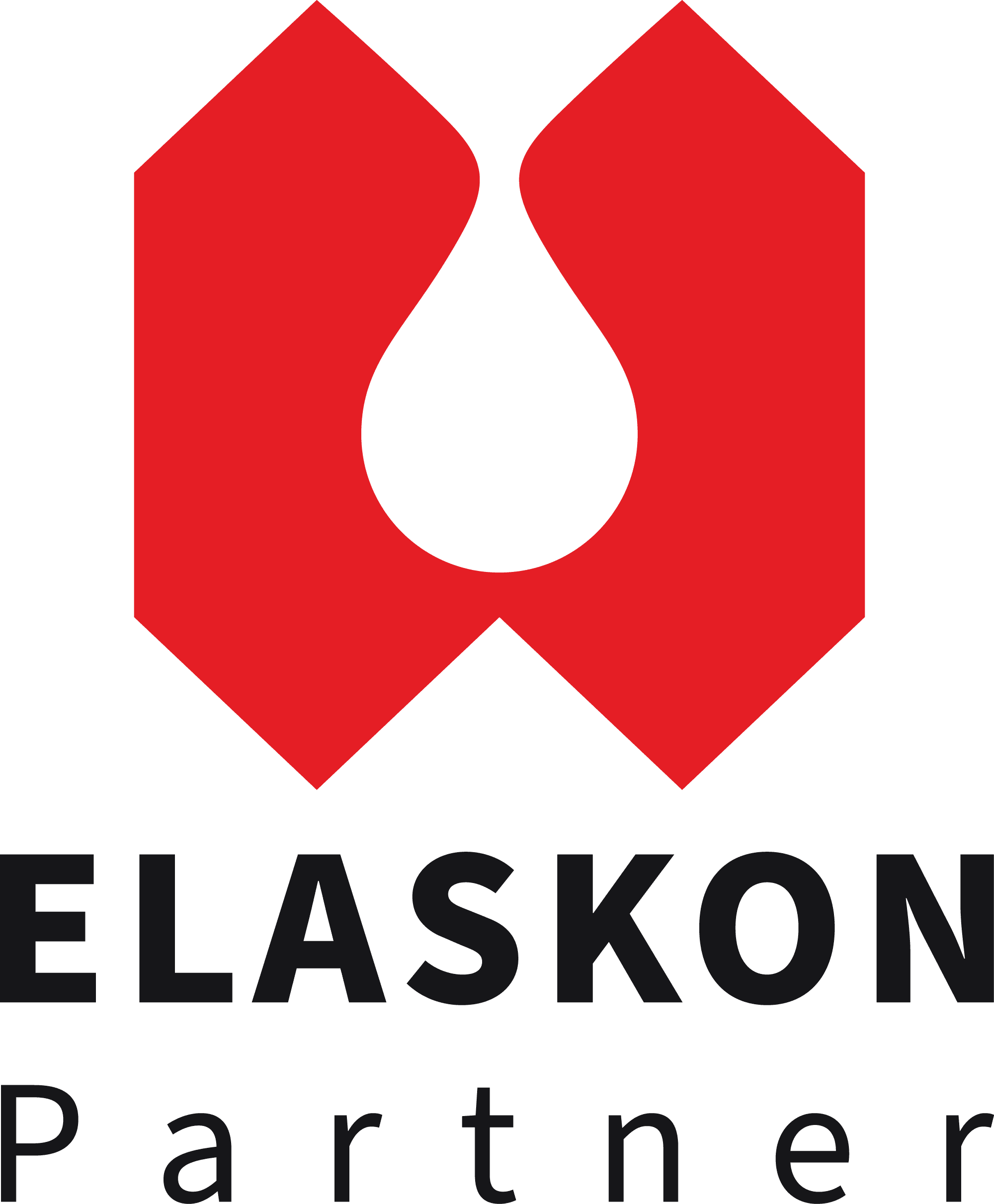 Logo-ELASKON